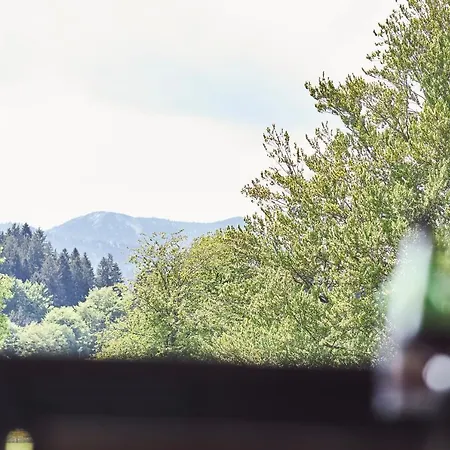 Kontaktlos - Studio Zum Arbeiten & Wohnen Am Tegernsee By Stayfritz Apartment Bad Wiessee